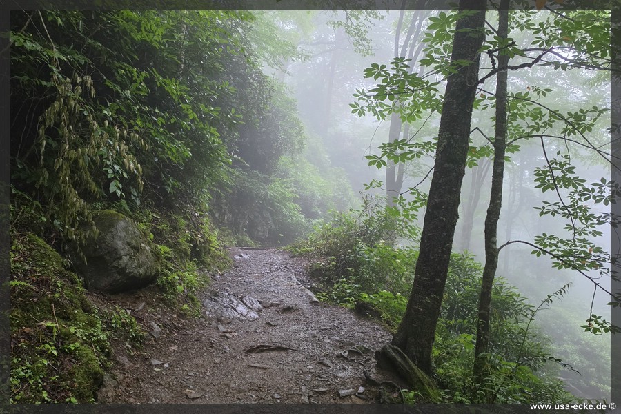 GSMNP_Cherokee_2026_024