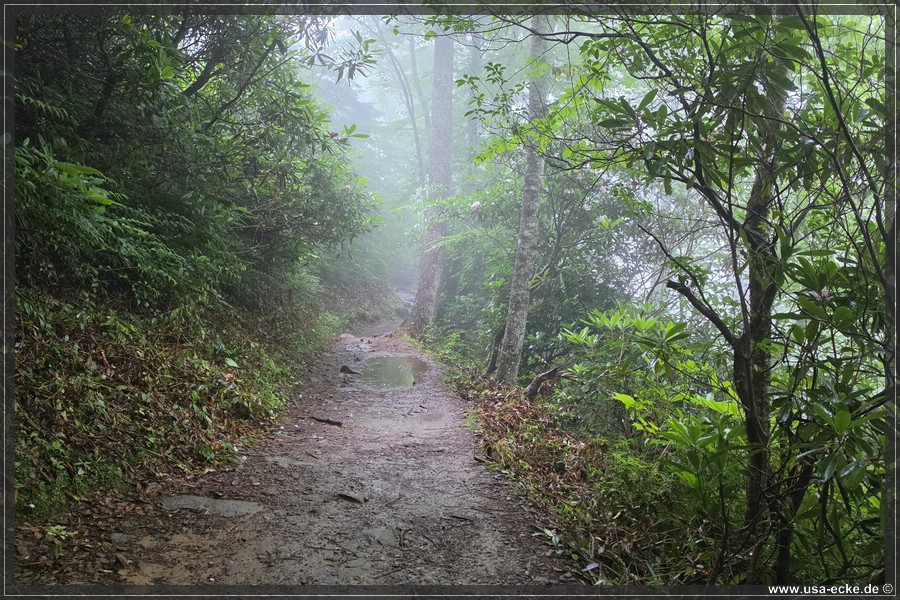 GSMNP_Cherokee_2026_025