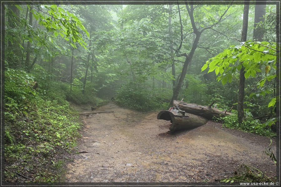 GSMNP_Cherokee_2026_026