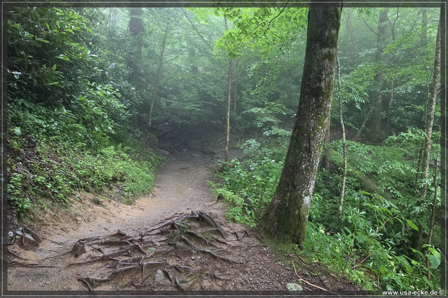GSMNP_Cherokee_2026_027