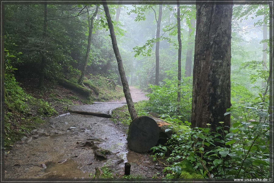 GSMNP_Cherokee_2026_028