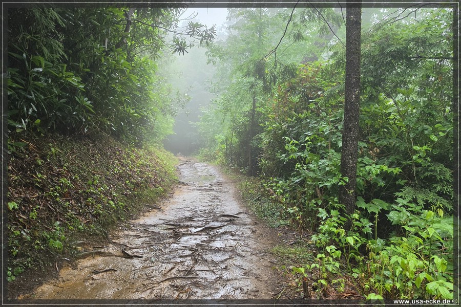 GSMNP_Cherokee_2026_030