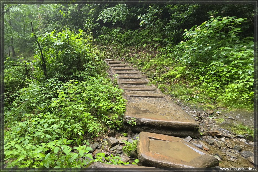 GSMNP_Cherokee_2026_031