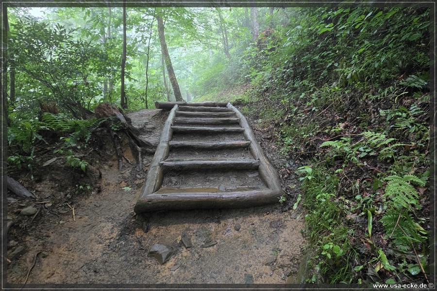 GSMNP_Cherokee_2026_032