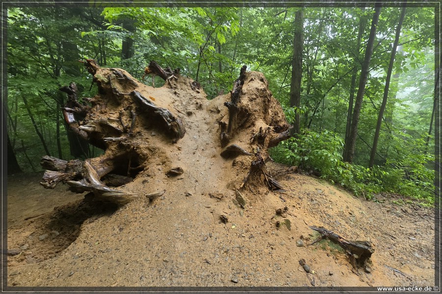GSMNP_Cherokee_2026_033
