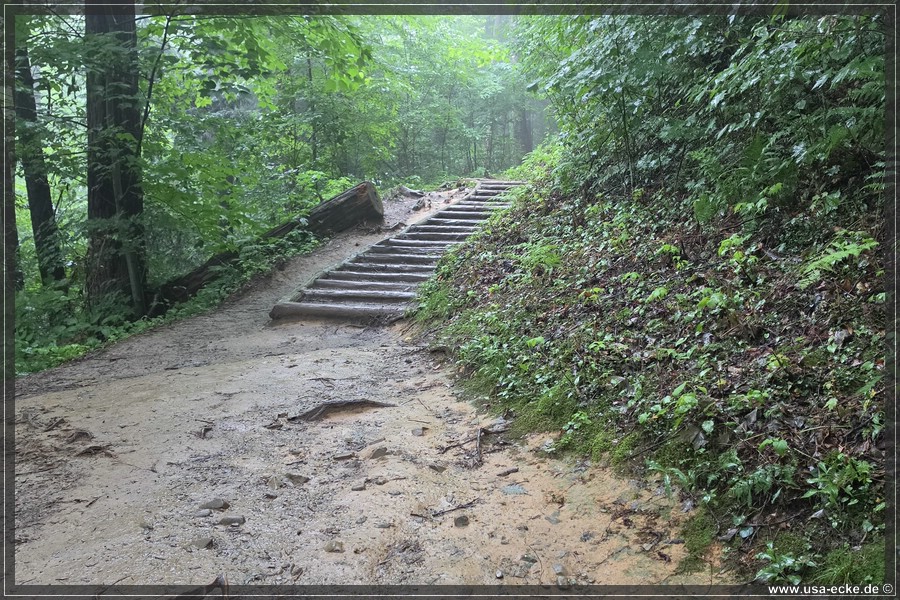 GSMNP_Cherokee_2026_034