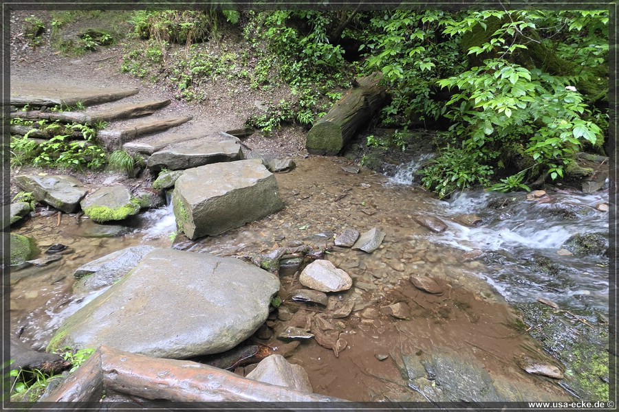 GSMNP_Cherokee_2026_035