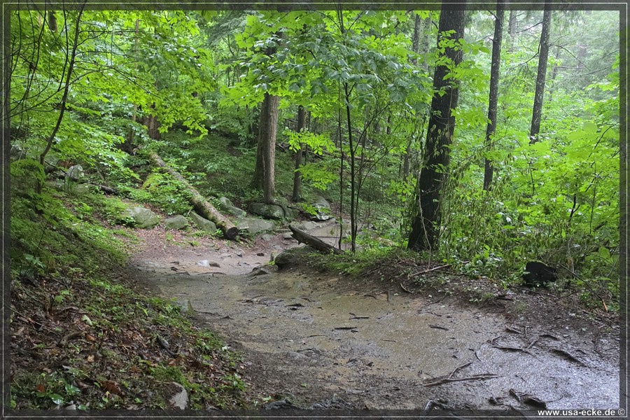 GSMNP_Cherokee_2026_037