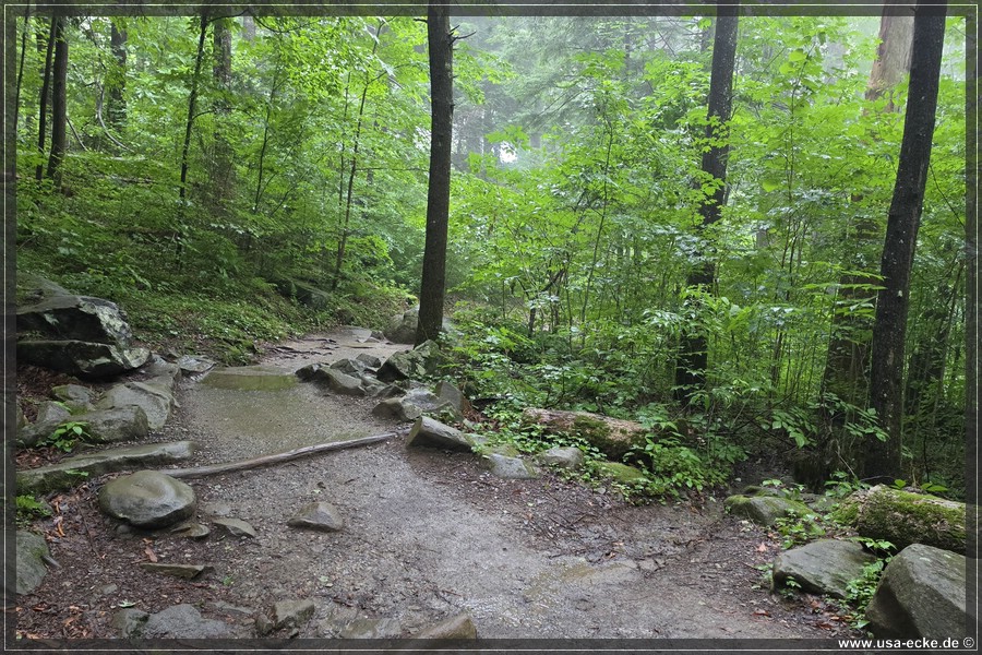 GSMNP_Cherokee_2026_038