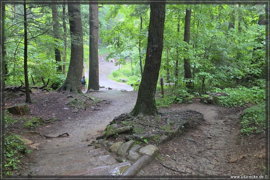 GSMNP_Cherokee_2026_039