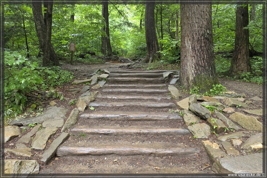 GSMNP_Cherokee_2026_040