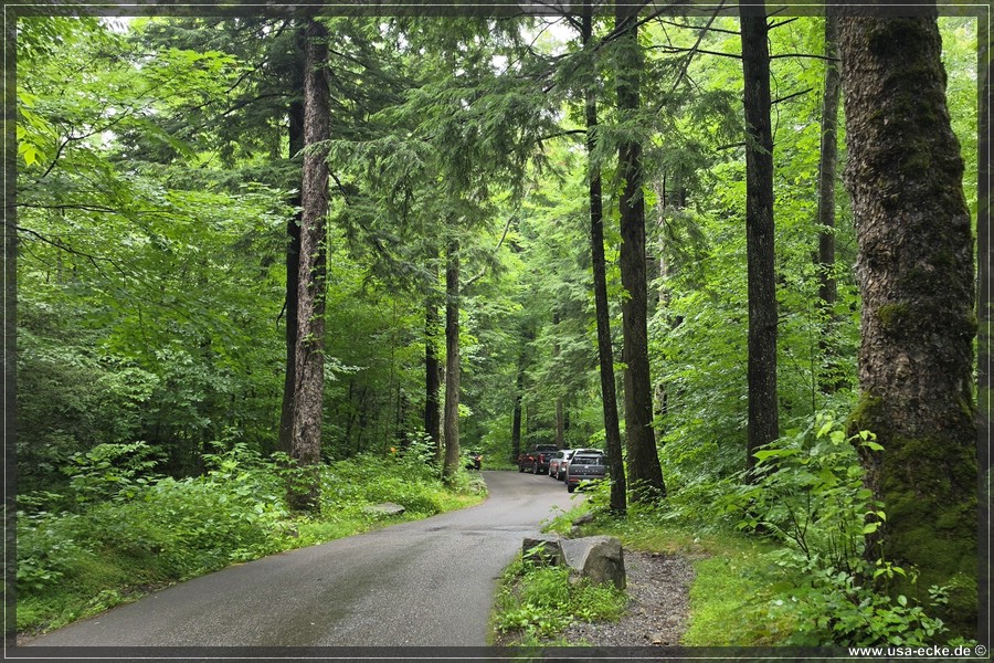 GSMNP_Cherokee_2026_041