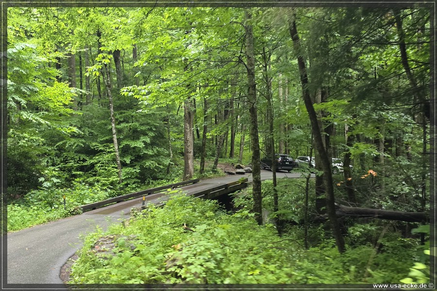 GSMNP_Cherokee_2026_042