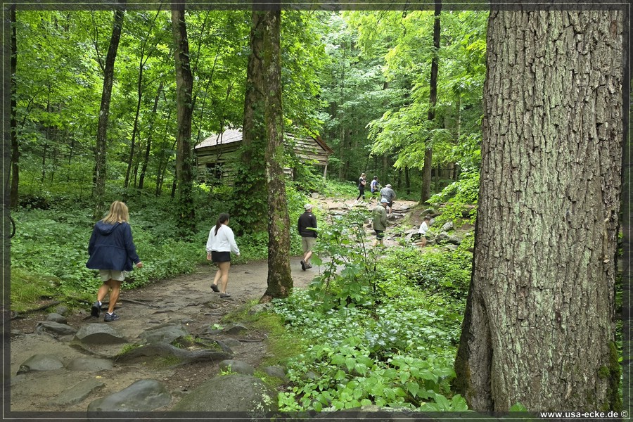 GSMNP_Cherokee_2026_047
