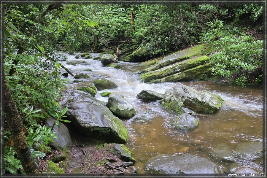 GSMNP_Cherokee_2026_050
