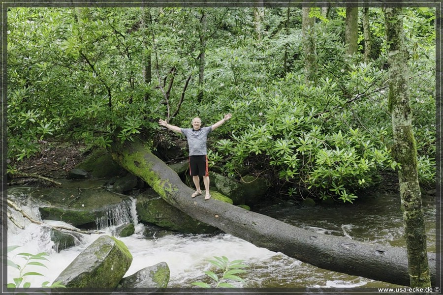 GSMNP_Cherokee_2026_052