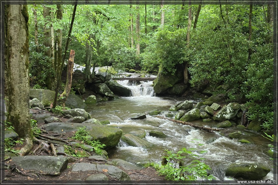 GSMNP_Cherokee_2026_053