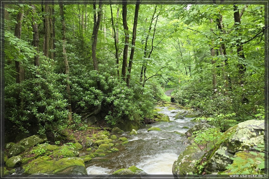 GSMNP_Cherokee_2026_055