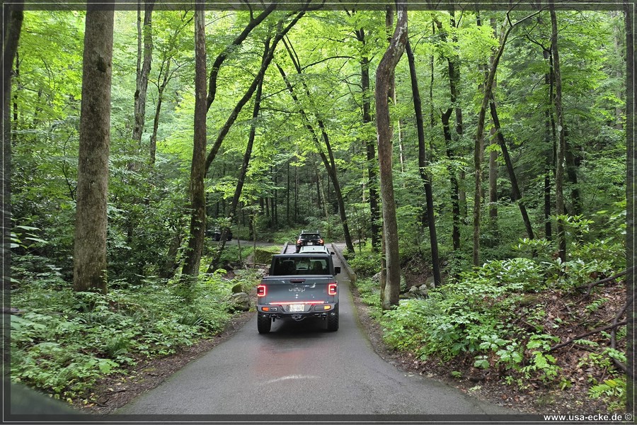 GSMNP_Cherokee_2026_056