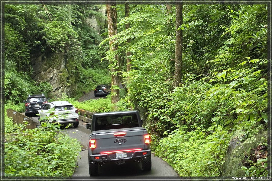 GSMNP_Cherokee_2026_057