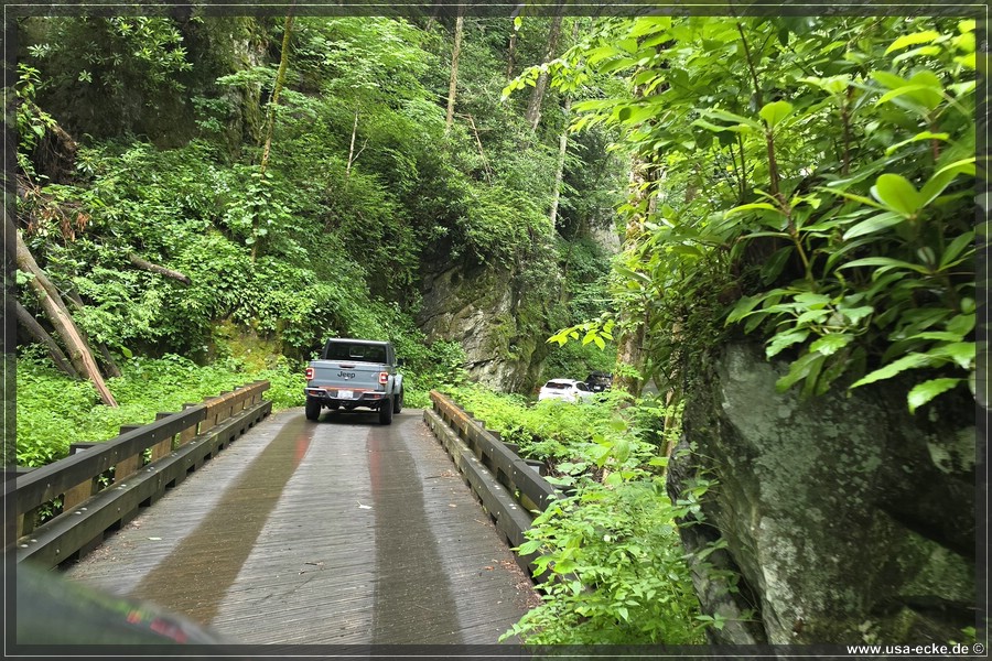 GSMNP_Cherokee_2026_058
