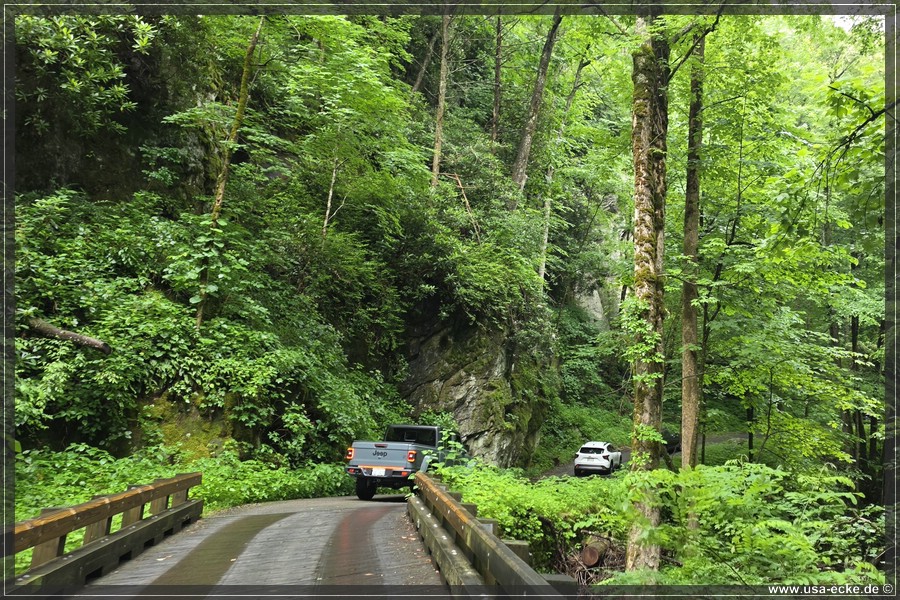 GSMNP_Cherokee_2026_059