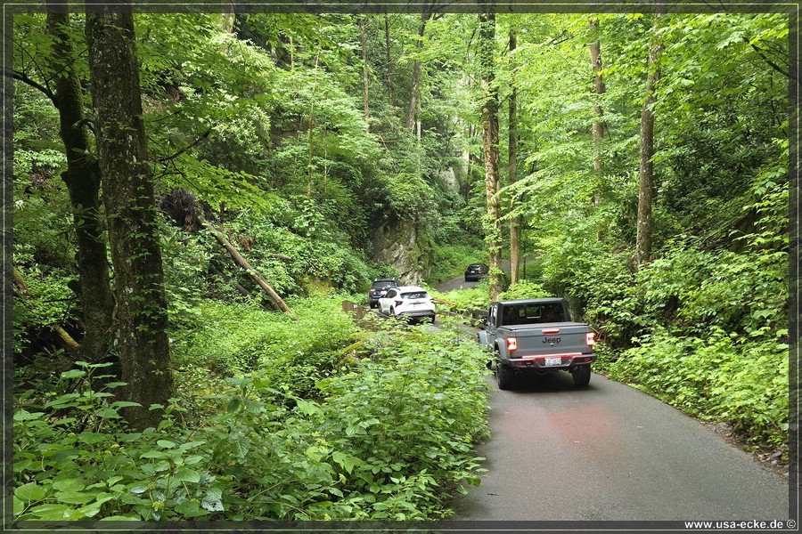 GSMNP_Cherokee_2026_060
