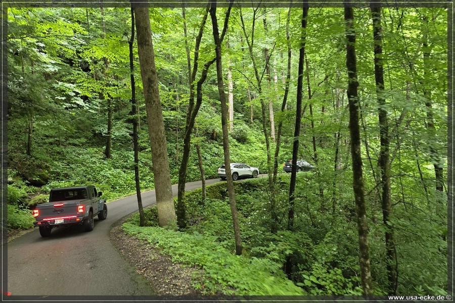 GSMNP_Cherokee_2026_061