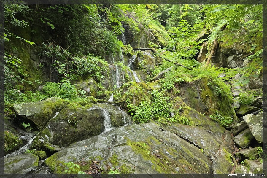 GSMNP_Cherokee_2026_062
