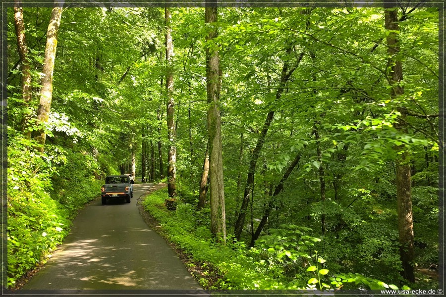 GSMNP_Cherokee_2026_063