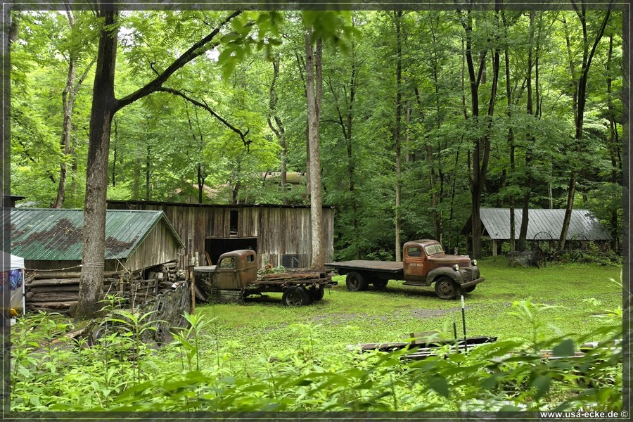 GSMNP_Cherokee_2026_065