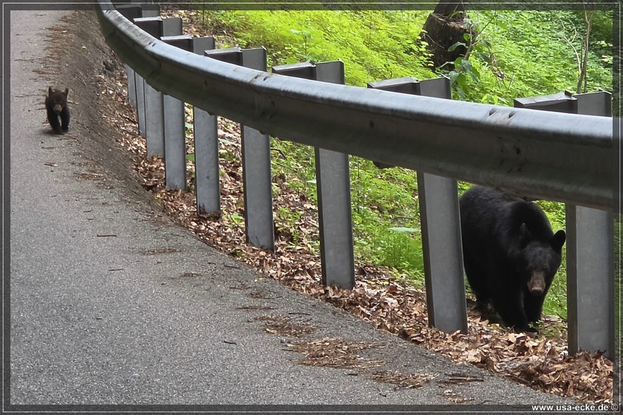 BlackBearTwo_2026_022