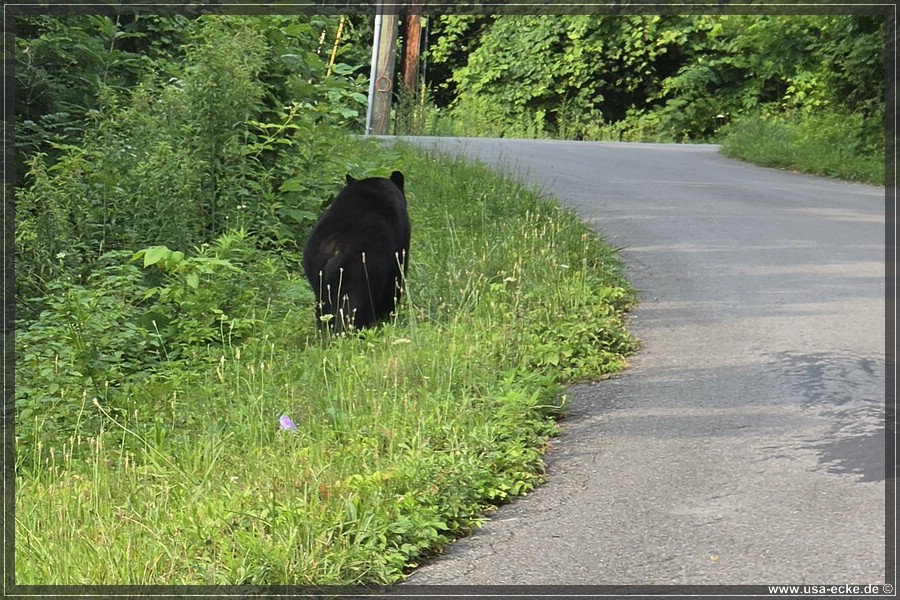 BlackBearTwo_2026_033