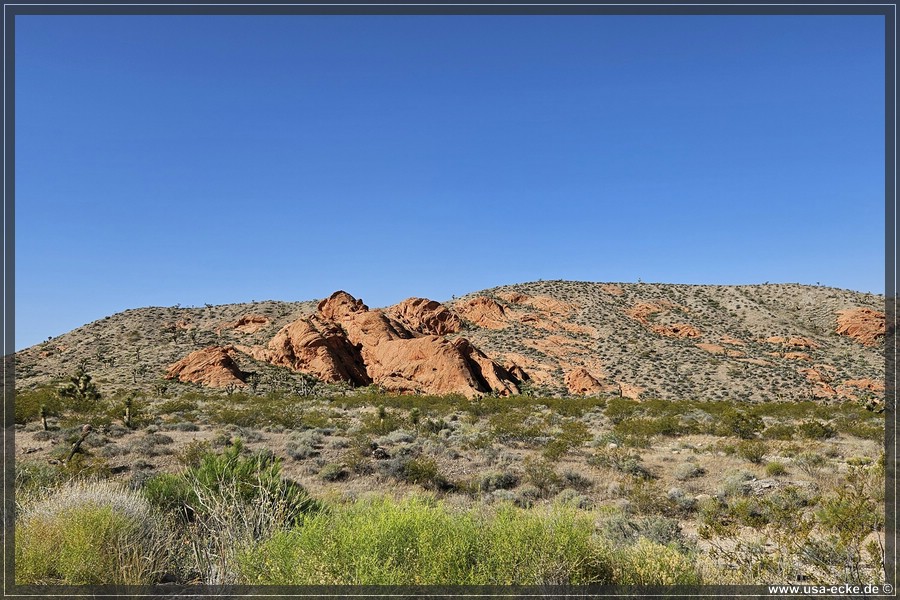 Gold_Butte_2024_050