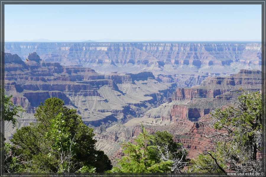 GrandCanyonNorthRim2019_008