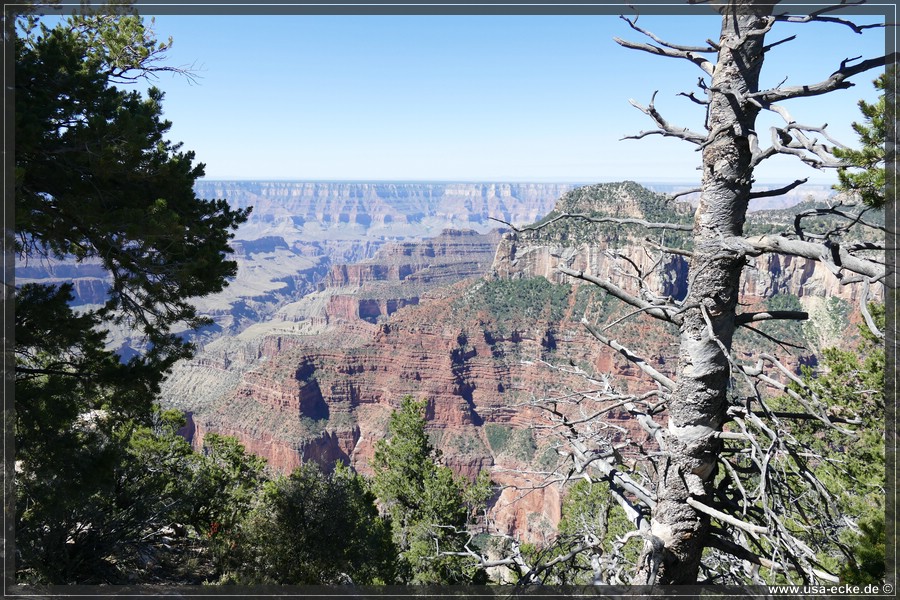 GrandCanyonNorthRim2019_011