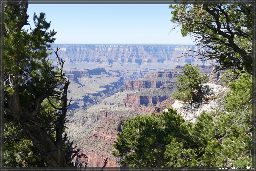 GrandCanyonNorthRim2019_014