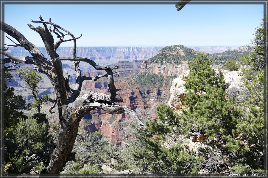 GrandCanyonNorthRim2019_015