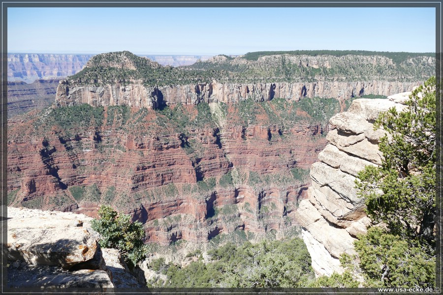 GrandCanyonNorthRim2019_016