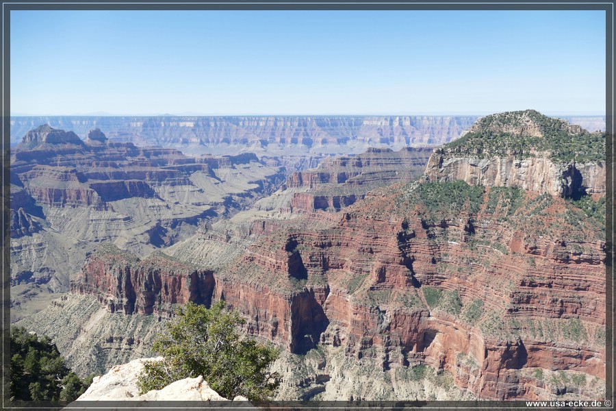 GrandCanyonNorthRim2019_019