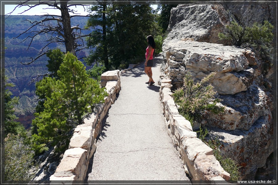 GrandCanyonNorthRim2019_021