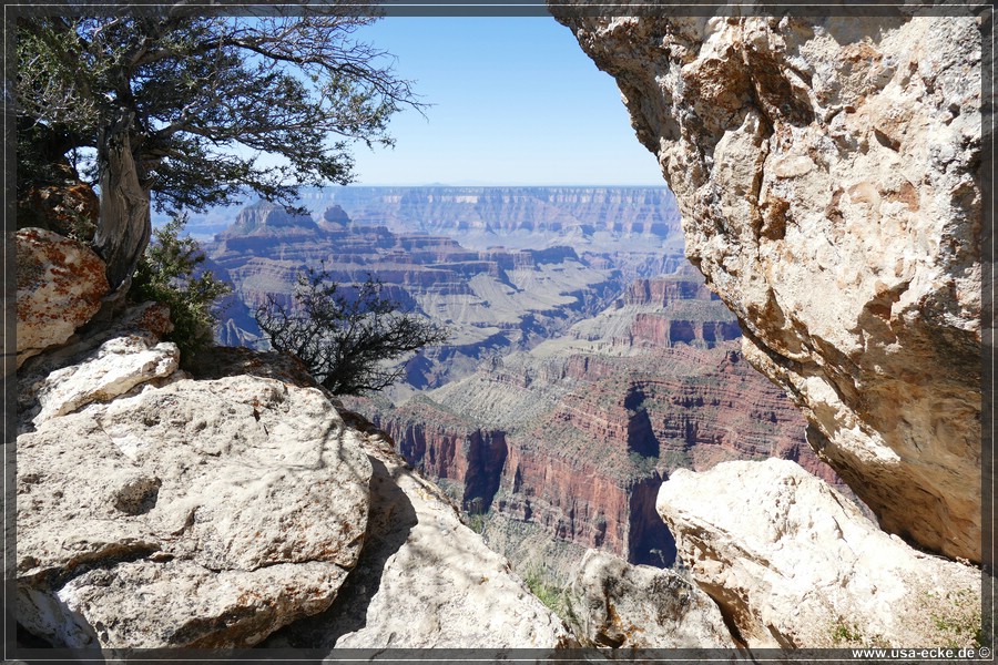 GrandCanyonNorthRim2019_023