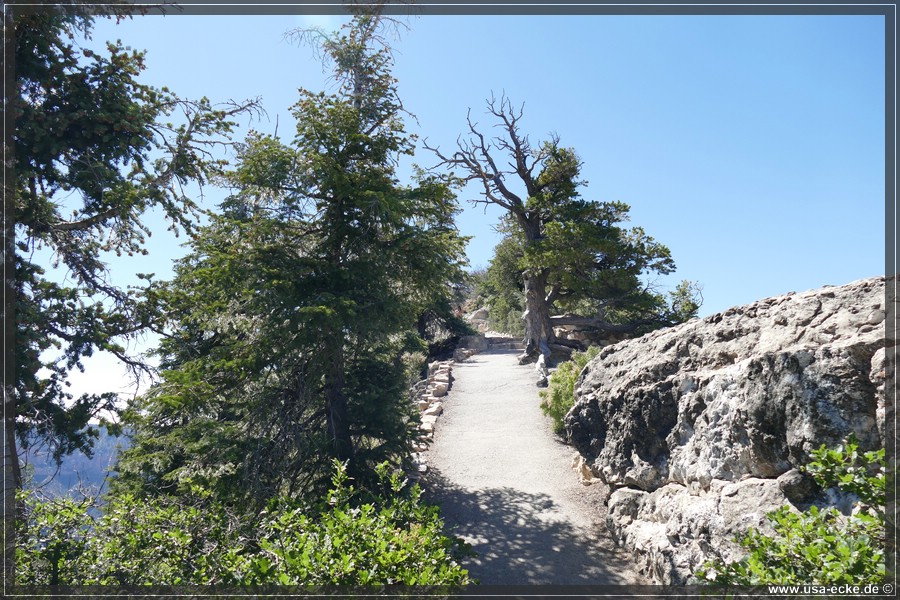 GrandCanyonNorthRim2019_024