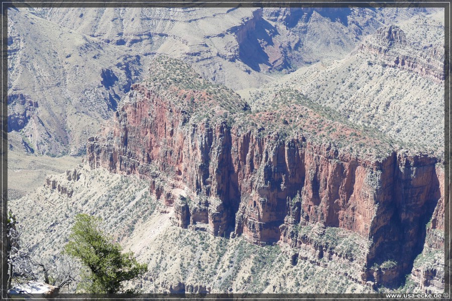 GrandCanyonNorthRim2019_031