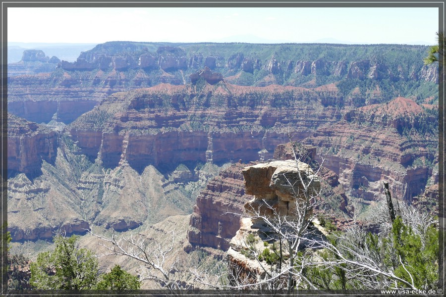 GrandCanyonNorthRim2019_058