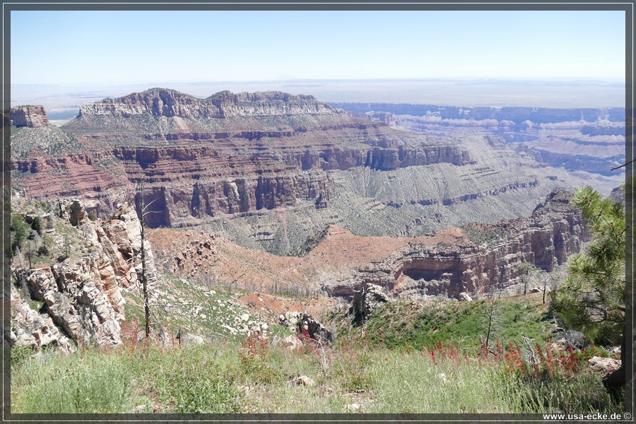 GrandCanyonNorthRim2019_061