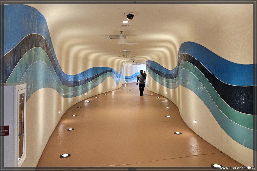 GuitarHotel_2024_029