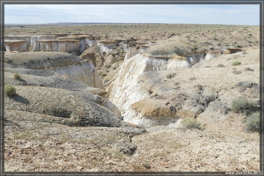 HaHoNoGeh2019_003