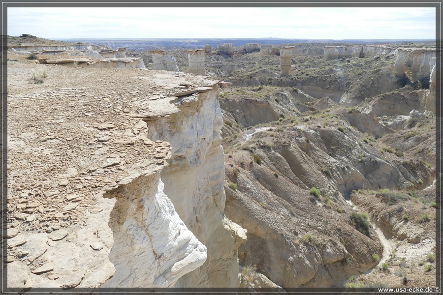 HaHoNoGeh2019_005