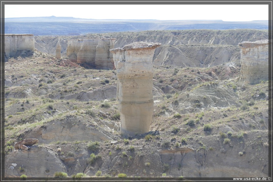 HaHoNoGeh2019_008